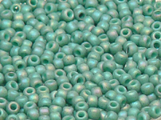 TOHO Round Beads 8/0 - 2634F Semi Glazed Rainbow Turquoise (ca. 9,5g)