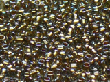 TOHO Round Beads 6/0 - 999 Gold-Lined Rainbow Black Diamond (ca. 8,5g)